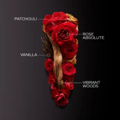 Shiseido Ginza Intense EDP 50 Ml -Clinique Salgsbutik 7686141998853