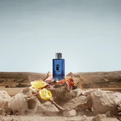 Dolce & Gabbana K For Him EDP 50 Ml 10 Dolce & Gabbana K For Him EDP 50 Ml -Clinique Salgsbutik 80579711831113