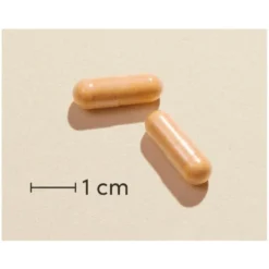 Biosym Omni-B Active 120 Pieces -Clinique Salgsbutik biosym omni b active 120 pieces 1648633293