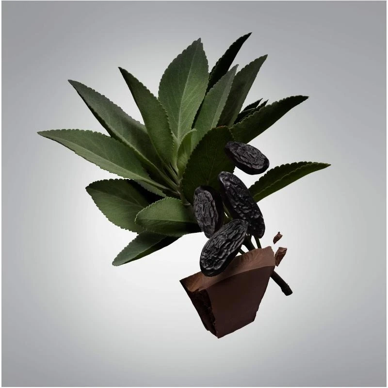 Carolina Herrera Bad Boy Deodorant Stick For Him 75 Gr. 2 Carolina Herrera Bad Boy Deodorant Stick For Him 75 Gr. - Billede 2