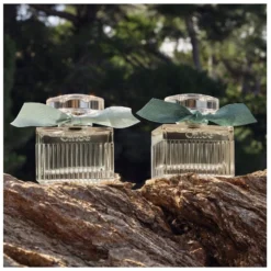 Chloé Signature Rose Naturelle Intense EDP 50 Ml -Clinique Salgsbutik chloe signature rose naturelle intense edp 50 ml 1665041571