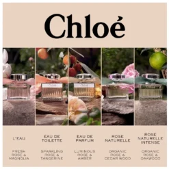 Chloé Signature Rose Naturelle Intense EDP 50 Ml -Clinique Salgsbutik chloe signature rose naturelle intense edp 50 ml 1665041597