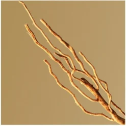 Hugo Boss Bottled EDP 50 Ml -Clinique Salgsbutik hugo boss bottled edp 50 ml 1602056528