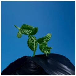 Issey Miyake Fusion D'Issey Extreme EDT 100 Ml -Clinique Salgsbutik issey miyake fusion dissey extreme edt 100 ml 1630925655