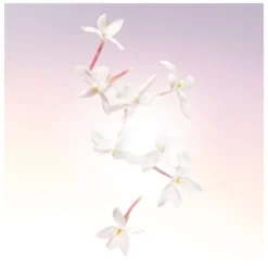 Lancome Lancôme Idôle EDP 50 Ml 17 Lancome Lancôme Idôle EDP 50 Ml -Clinique Salgsbutik lancome idole edp 50 ml 1566549626