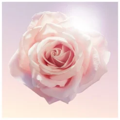 Lancome Lancôme Idôle EDP 50 Ml 19 Lancome Lancôme Idôle EDP 50 Ml -Clinique Salgsbutik lancome idole edp 50 ml 1566549945