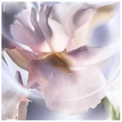 Lancome Lancôme La Vie Est Belle Iris Absolu EDP 50 Ml -Clinique Salgsbutik lancome la vie est belle iris absolu edp 50 ml 1677581103