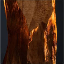 Paco Rabanne 1 Million Deodorant Stick 75 Ml -Clinique Salgsbutik paco rabanne 1 million deodorant stick 75 ml 1645085910