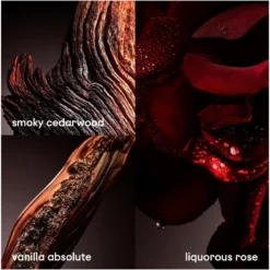 Paco Rabanne One Million Elixir EDP 100 Ml 11 Paco Rabanne One Million Elixir EDP 100 Ml -Clinique Salgsbutik paco rabanne one million elixir edp 100 ml 1650958105