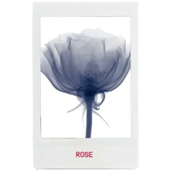 Smashbox Photo Finish Revitalize 8-In-1 Primer Essence 75 Ml -Clinique Salgsbutik smashbox photo finish revitalize 8 in 1 primer essence 75 ml 1652875378