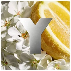 Yves Saint Laurent YSL Eau Fraiche For Men EDT 60 Ml -Clinique Salgsbutik ysl eau fraiche for men edt 60 ml 1589283385