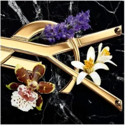 Yves Saint Laurent YSL Libre Intense EDP 50 Ml -Clinique Salgsbutik ysl libre intense edp 50 ml 1600771325