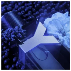 Yves Saint Laurent YSL Y EDP Intense 60 Ml -Clinique Salgsbutik ysl y edp intense 60 ml 1677590098